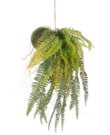 La plante artificielle suspendue Fougère sur boule 63 cm a des feuilles vertes luxuriantes et suspendues et des feuilles délicates. Suspendue à une fine ficelle sur un fond blanc, c'est la plante suspendue parfaite sans entretien pour n'importe quelle pièce.