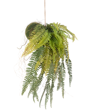 La plante artificielle suspendue Fougère sur boule 63 cm a des feuilles vertes luxuriantes et suspendues et des feuilles délicates. Suspendue à une fine ficelle sur un fond blanc, c'est la plante suspendue parfaite sans entretien pour n'importe quelle pièce.