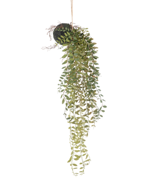 La plante artificielle suspendue Pumila boule 30 cm possède de longues vrilles vertes sinueuses avec de petites feuilles émergeant d'une boule recouverte de mousse, suspendues avec une corde sur un fond blanc.