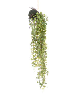 La plante succulente artificielle suspendue sur boule de 78 cm a des feuilles rondes vertes émergeant d'une petite jardinière sphérique recouverte de mousse, parfaite comme accent décoratif sur un fond blanc uni.