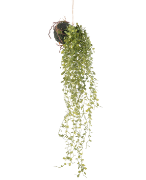 La Plante Artificielle Suspendue Plante Succulente Boule 58 cm présente une plante succulente verte avec de petites feuilles rondes, suspendue à une boule au sol recouverte de mousse, sur un fond blanc uni.