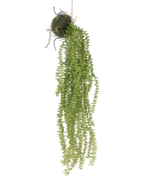 La plante artificielle suspendue Phlegmariurus Ball 55 cm présente des feuilles vertes luxuriantes et suspendues qui tombent en cascade d'une boule recouverte de mousse, suspendue à une ficelle pour un affichage élégant sur n'importe quel fond.