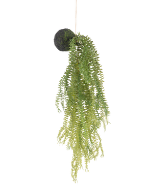 La plante artificielle suspendue Phlegmariurus ball 50 cm présente des feuilles de fougère vertes sur un socle rond recouvert de mousse, suspendues à une ficelle sur un fond blanc.