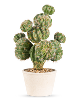 Le Cactus Artificiel 32 cm présente un cactus rond vert avec des épines dans un pot en céramique blanche rempli de petites pierres sur un fond gris clair.