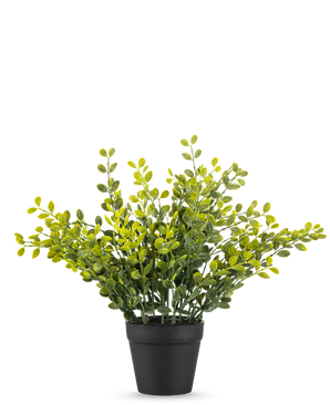 La Plante à Feuilles de Thé Artificielles 25 cm est une petite plante au feuillage vert avec des feuilles jaunes dans un simple pot noir, sur fond blanc uni.