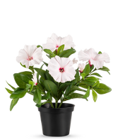 La plante Pétunia Fleur Artificielle 25 cm rose est placée dans un pot noir, avec plusieurs fleurs rose clair à cinq pétales au cœur rose foncé et aux étamines jaunes, sur un fond uni blanc.