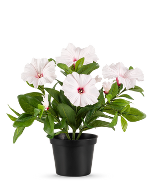 La plante Pétunia Fleur Artificielle 25 cm rose est placée dans un pot noir, avec plusieurs fleurs rose clair à cinq pétales au cœur rose foncé et aux étamines jaunes, sur un fond uni blanc.