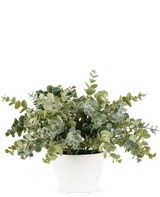 La plante artificielle d'eucalyptus de 23 cm a des feuilles vertes rondes et luxuriantes et est présentée dans un simple pot blanc, parfait pour égayer n'importe quel espace avec son aspect naturel sur un fond uni.