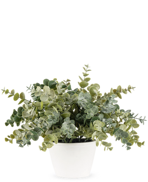 La plante artificielle d'eucalyptus de 23 cm a des feuilles vertes rondes et luxuriantes et est présentée dans un simple pot blanc, parfait pour égayer n'importe quel espace avec son aspect naturel sur un fond uni.