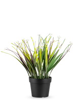 Le gazon artificiel en pot UV 26 cm possède de longues feuilles vertes et violettes avec de petites fleurs blanches, disposées dans un simple pot noir et disposées sur un fond blanc.