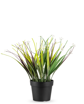 Le gazon artificiel en pot UV 26 cm possède de longues feuilles vertes et violettes avec de petites fleurs blanches, disposées dans un simple pot noir et disposées sur un fond blanc.