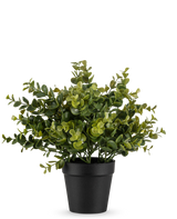 La plante artificielle Pumila 25 cm est une petite plante artificielle en pot avec des feuilles vertes luxuriantes dans un simple pot noir, représentée sur un fond blanc uni.