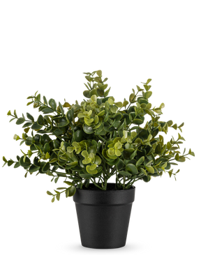 La plante artificielle Pumila 25 cm est une petite plante artificielle en pot avec des feuilles vertes luxuriantes dans un simple pot noir, représentée sur un fond blanc uni.