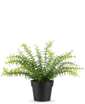 La plante artificielle Anthurium 27 cm possède de longues feuilles vertes fines s'étendant d'un pot en plastique noir, sur un fond blanc uni.