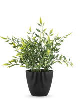 Une plante artificielle en bambou de 28 cm, une plante en pot verte aux feuilles longues et minces, certaines avec une pointe jaune, pousse dans un pot noir nervuré verticalement sur un fond blanc uni.