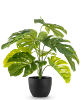 Le Monstera artificiel 55 cm en pot décoratif noir présente de grandes feuilles vertes fendues et brillantes dans un pot décoratif noir, sur un fond blanc uni.