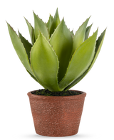 La Plante Artificielle Agave 25 cm présente des feuilles vertes épaisses et pointues dans un pot rouge-marron texturé, sur un fond uni blanc.