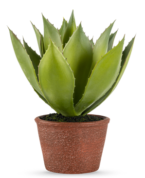 La Plante Artificielle Agave 25 cm présente des feuilles vertes épaisses et pointues dans un pot rouge-marron texturé, sur un fond uni blanc.