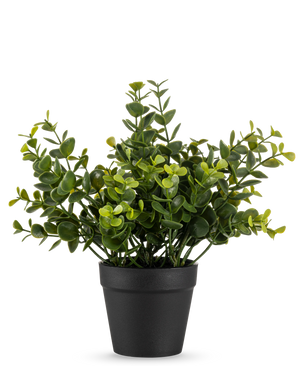 La Plante Artificielle Pumila 20 cm est une petite plante artificielle en pot aux feuilles vertes rondes dans un simple pot noir, disposées sur un fond blanc uni.