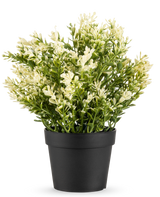 La Plante Artificielle Buis en pot UV 23 cm est une petite plante artificielle en pot aux feuilles vertes denses dans un simple pot noir, parfaite pour égayer n'importe quelle pièce.