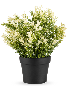 La Plante Artificielle Buis en pot UV 23 cm est une petite plante artificielle en pot aux feuilles vertes denses dans un simple pot noir, parfaite pour égayer n'importe quelle pièce.