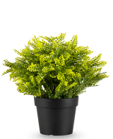 De Kunstplant Varen in pot UV 22 cm is een kleine kunstvaren met dichte groene bladeren in een eenvoudige zwarte pot, tegen een effen witte achtergrond.
