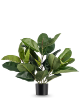 La plante artificielle en caoutchouc de 51 cm a de larges feuilles luxuriantes d'un vert profond dans un simple pot noir, sur un fond blanc uni.