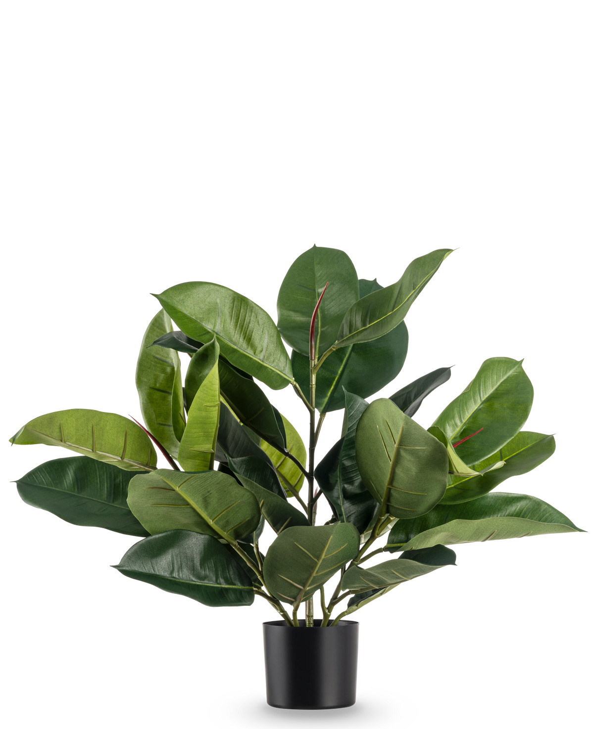 La plante artificielle en caoutchouc de 51 cm a de larges feuilles luxuriantes d'un vert profond dans un simple pot noir, sur un fond blanc uni.