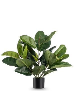 La plante artificielle en caoutchouc de 51 cm a de larges feuilles luxuriantes d'un vert profond dans un simple pot noir, sur un fond blanc uni.