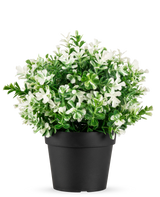 De Kunstplant Buxus wit in pot UV 19 cm heeft dichte groene bladeren en talrijke witte bloemen, gerangschikt in een eenvoudige zwarte pot tegen een effen witte achtergrond.