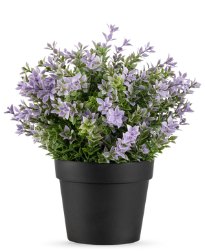 De Kunstplant Buxus paars UV 22 cm heeft een zwarte bloempot met een weelderige kunstplant met kleine lichtpaarse bloemen en groene bladeren tegen een effen witte achtergrond.