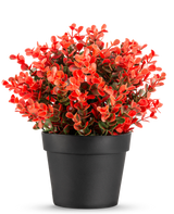 De Kunstplant Buxus rood in pot UV 19 cm is een compacte zwarte bloempot met een weelderige mix van rode en groene kunstbladeren tegen een effen witte achtergrond.