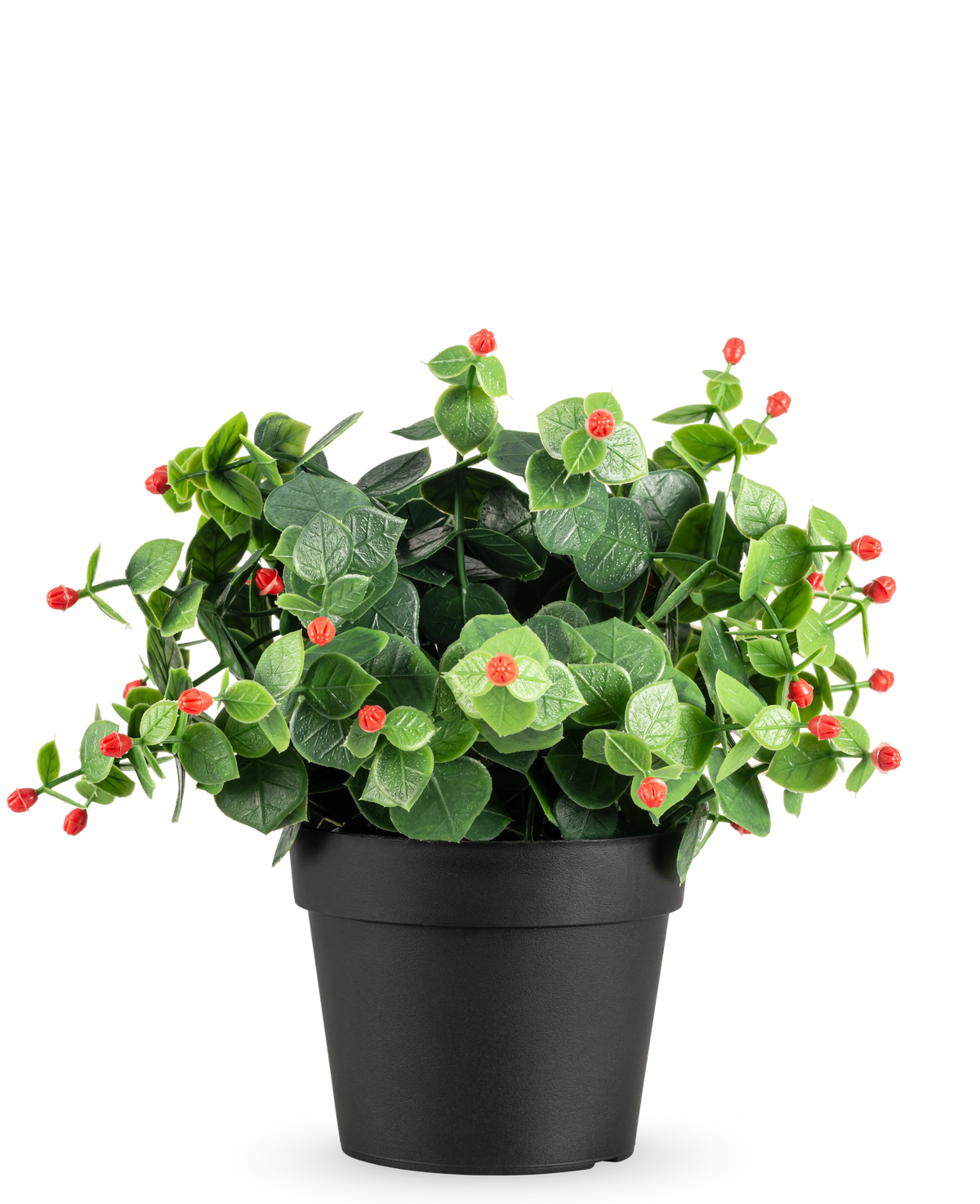 La Plante artificielle Eucalyptus rouge en pot UV 22 cm présente des feuilles vertes et des petits bourgeons rouges dans un simple pot noir, sur un fond uni blanc.