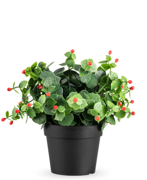 La Plante artificielle Eucalyptus rouge en pot UV 22 cm présente des feuilles vertes et des petits bourgeons rouges dans un simple pot noir, sur un fond uni blanc.