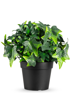 La plante artificielle Lierre en pot UV 20 cm présente des feuilles de lierre artificielles vertes en forme d'étoile dans un simple pot noir, présentées sur un fond blanc.