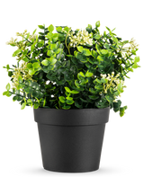 La Plante Artificielle Eucalyptus mix UV 22 cm possède des feuilles vert vif et de petites fleurs blanches dans un simple pot noir, sur un fond blanc.