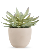 La plante succulente artificielle de 18 cm a des feuilles vertes épaisses et pointues dans un pot simple et rond en céramique blanc cassé, sur fond blanc.