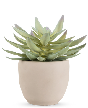 La plante succulente artificielle de 18 cm a des feuilles vertes épaisses et pointues dans un pot simple et rond en céramique blanc cassé, sur fond blanc.