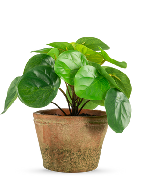 La Plante Artificielle Pilea en pot mini UV 15 cm présente des feuilles rondes vert brillant dans un pot en terre cuite marron patiné, sur un fond uni blanc.