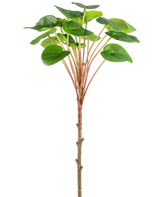 Une plante artificielle Pilea Pancake de 50 cm avec une tige brune mince, de longues tiges rougeâtres et de grandes feuilles vertes rondes est présentée sur un fond blanc uni.