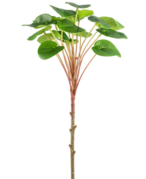 Une plante artificielle Pilea Pancake de 50 cm avec une tige brune mince, de longues tiges rougeâtres et de grandes feuilles vertes rondes est présentée sur un fond blanc uni.