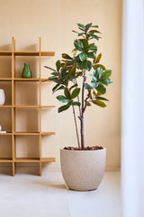 L'arbre Yulania artificiel de 180 cm, avec de grandes feuilles vertes, se dresse sur un sol clair à côté d'une étagère en bois avec un vase vert et un objet blanc, contre un mur beige dans une pièce moderne et minimaliste.