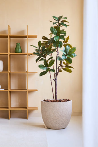 L'arbre Yulania artificiel de 180 cm, avec de grandes feuilles vertes, se dresse sur un sol clair à côté d'une étagère en bois avec un vase vert et un objet blanc, contre un mur beige dans une pièce moderne et minimaliste.