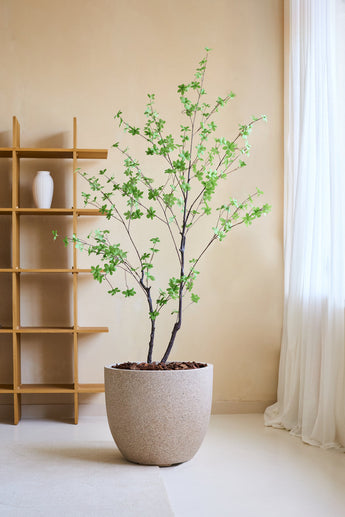 La Plante Artificielle Enkianthus 180 cm, un arbre artificiel réaliste avec des feuilles vertes dans une grande jardinière beige remplie de pierres brunes, est placée dans une pièce minimaliste avec une étagère en bois, un vase blanc, des murs de couleur crème et des rideaux blancs transparents.