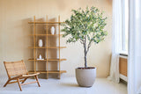 Un espace de vie minimaliste est équipé d'une chaise en bois, d'un olivier artificiel de 200 cm comme plante en pot réaliste et d'une étagère en bois avec trois vases blancs. La lumière du soleil traverse des rideaux blancs au-dessus d’une grande fenêtre.
