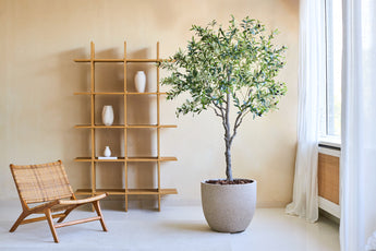 Un espace de vie minimaliste est équipé d'une chaise en bois, d'un olivier artificiel de 200 cm comme plante en pot réaliste et d'une étagère en bois avec trois vases blancs. La lumière du soleil traverse des rideaux blancs au-dessus d’une grande fenêtre.