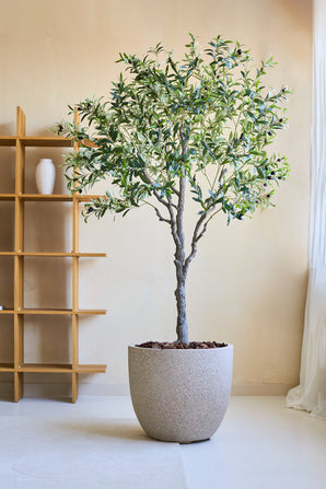 Une plante artificielle d'olivier artificiel de 200 cm avec des branches fines et des feuilles vertes se dresse sur un sol clair près d'une étagère en bois et de rideaux transparents dans une pièce lumineuse et minimaliste.