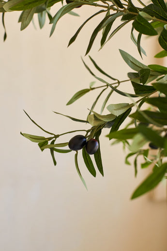 Une branche d'olivier aux feuilles vertes et deux olives violet foncé sur fond beige, qui évoque l'aspect réaliste de l'Olivier Artificiel 200 cm.