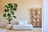 Salon minimaliste avec une plante Monstera artificielle de 240 cm dans un pot, un canapé blanc moderne avec coussin et une armoire ouverte en bois avec des vases blancs contre un mur beige. Lumière naturelle venant de la droite.