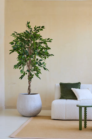 Une Plante Artificielle Ficus Vert 180 cm dans un pot décoratif se trouve à côté d'un canapé rembourré blanc avec des coussins verts et blancs et une petite table verte, dans un salon minimaliste aux murs neutres et au tapis beige.